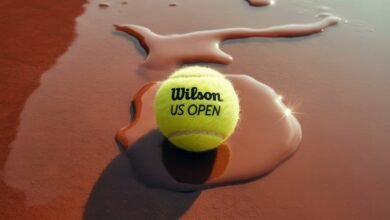 Wilson US Open Tennis Balls