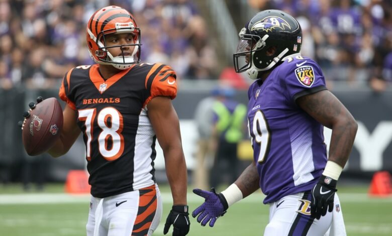 bengals vs baltimore ravens match player stats