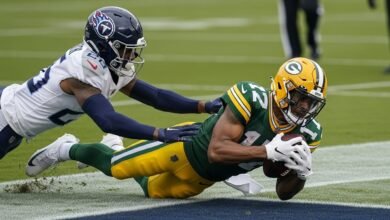 packers vs tennessee titans match player stats