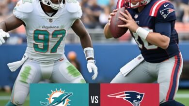 miami dolphins vs new england patriots match player stats