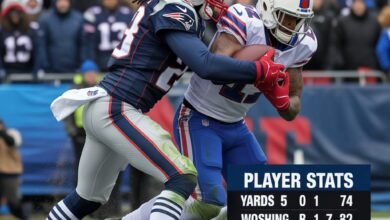 new england patriots vs buffalo bills match player stats