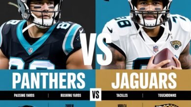 carolina panthers vs jacksonville jaguars match player stats