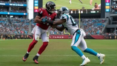 atlanta falcons vs carolina panthers match player stats