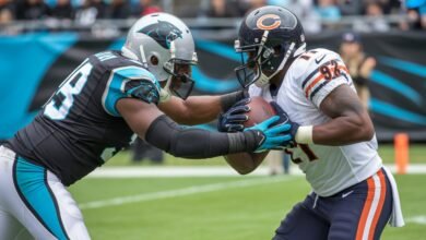 carolina panthers vs chicago bears match player stats