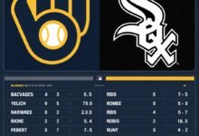milwaukee brewers vs white sox match player stats