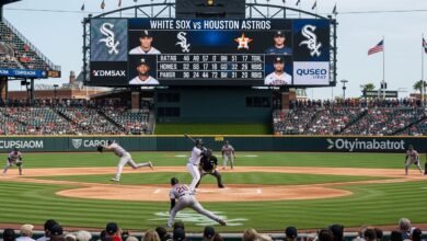 white sox vs houston astros match player stats