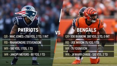 new england patriots vs bengals match player stats