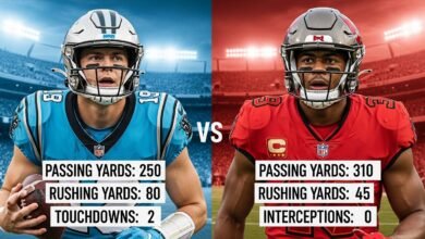 carolina panthers vs tampa bay buccaneers match player stats