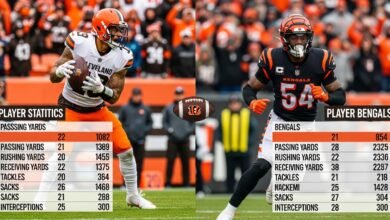 cleveland browns vs bengals match player stats
