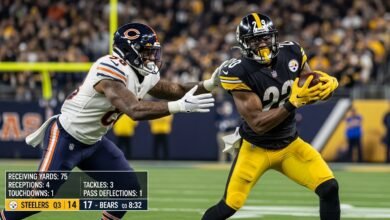 pittsburgh steelers vs chicago bears match player stats